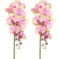Kunstpflanze Orchideenzweig, grünrosa, ca