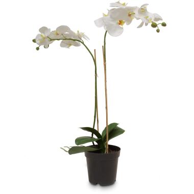 Schmetterlingsorchidee Phalaenopsis Kunstpflanze