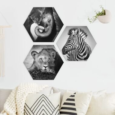 3-teiliges Hexagon-Forexbild Babytiere