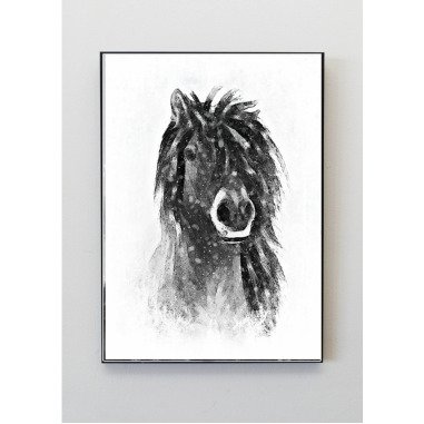 Pferde Portrait Poster Schwarz Weiß