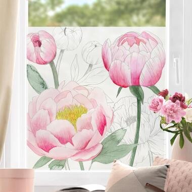 Fensterfolie Zeichnung Rosa Päonien II
