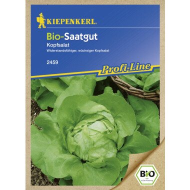Kiepenkerl Bio-Saatgut Salat Lactuca sativa var. capitata, Inhalt: ca.