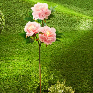 Solar Gartenstecker Blume Pfingstrose rosé, 3-tlg.