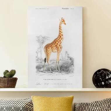 Leinwandbild Vintage Lehrtafel Giraffe