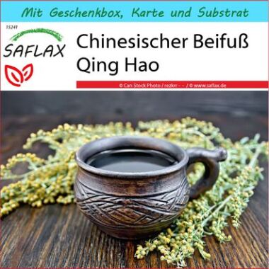 SAFLAX Geschenkset Süßer Wermut Qing Hao