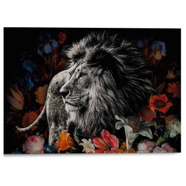 Löwen-Bilder ▷ kaufen bis 75% Rabatt | Kunstdrucke