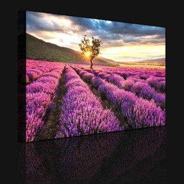 Leinwandbild Fantastische Lavendel-Provence