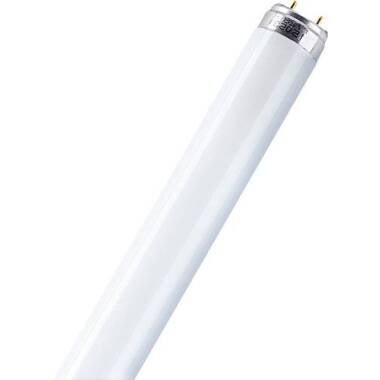 Osram Leuchtstoffröhre EEK: G (A G) G13 16W Warmweiß Röhrenform (Ø x L) 25.5mm