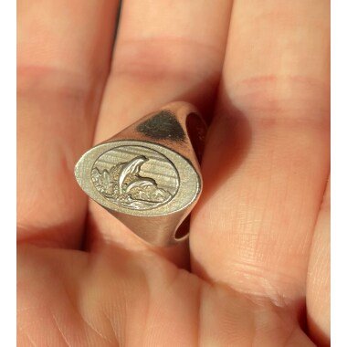 Ring Delfine Silber 925 Größe 57 Für Damen/Mädchen Siegelring