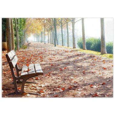 Teppich Einsame Parkbank an einer Allee Herbststimmung