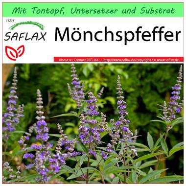 SAFLAX Garden to Go Heilpflanzen M�nchspfeffer
