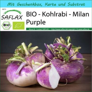 SAFLAX Geschenkset Bio Rübe Milan Purple