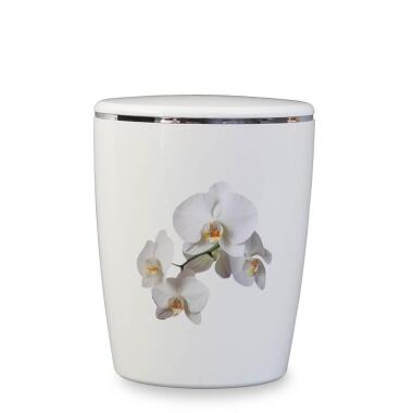 Spezielle Ökourne mit Orchidee preiswert kaufen Orchidee / Silber / Weiß