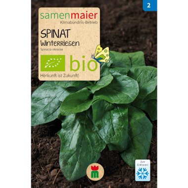 Bio Spinat Winterriesen 5 g Saatgut