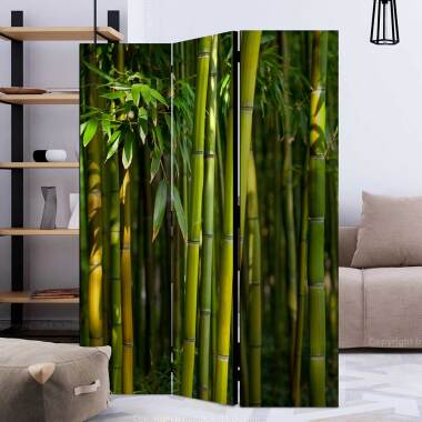 Trennwand in Grün Bambus Wald Motiv
