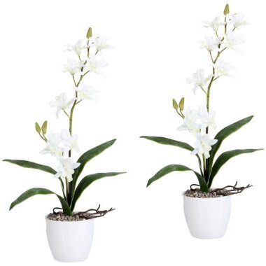 Kunstpflanze Orchidee Dendrobie Orchidee