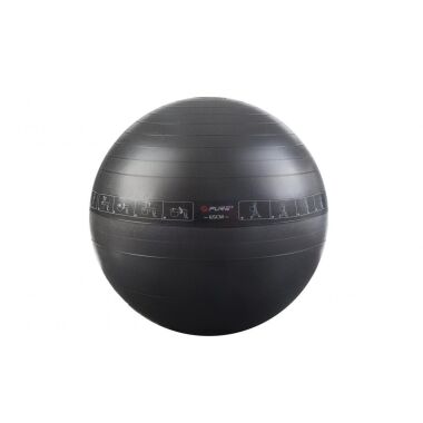 Pure Gymnastikball 65 cm