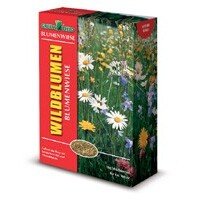 Blumenwiese Saatgut & Greenfield Wildblumen- Kräuterwiese ohne Gräser