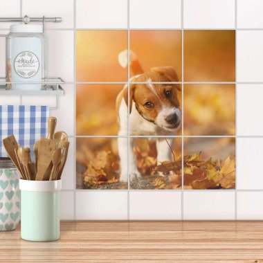 Klebefliesen für Küche & Bad Design: Jack the Puppy 15x15 cm