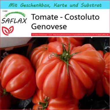 SAFLAX Geschenkset Tomate Costoluto Genovese