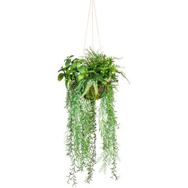 Creativ green Künstliche Zimmerpflanze »Dekokugel