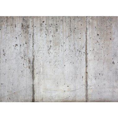 living walls Fototapete Designwalls Concrete