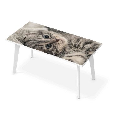 Tischfolie Design: Kitty the Cat 120x60 cm