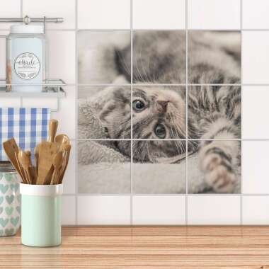 Klebefliesen für Küche & Bad Design: Kitty the Cat 15x15 cm