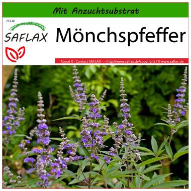 SAFLAX Heilpflanzen M�nchspfeffer 30 Samen