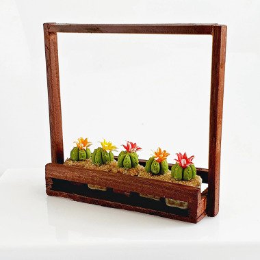 Handgemachte Miniaturen Kaktus Sukkulenten