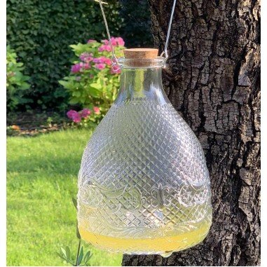 Wespenfalle Glas Groß Landhausstil für draußen Insektenfalle zum Aufhängen 22cm