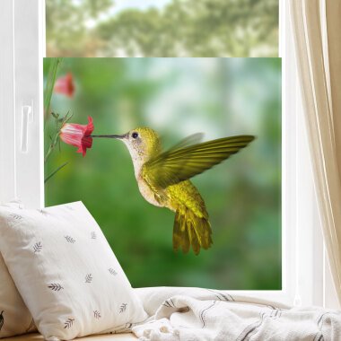 Fensterfolie Kolibri und Blüte