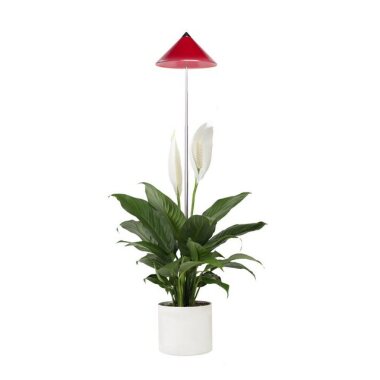 PARUS Pflanzenlampe Indoor plants, Leuchtmittel