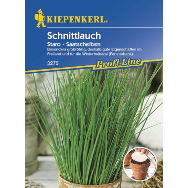 Kiepenkerl Schnittlauch Staro Allium schoenoprasum
