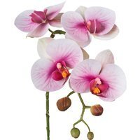 Kunstpflanze Phalaenopsis 'Real Touch', 4