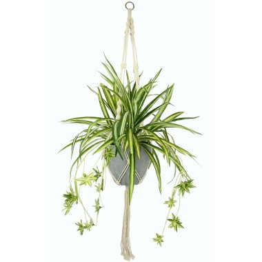 I.GE.A. Künstliche Zimmerpflanze Wasserlilie