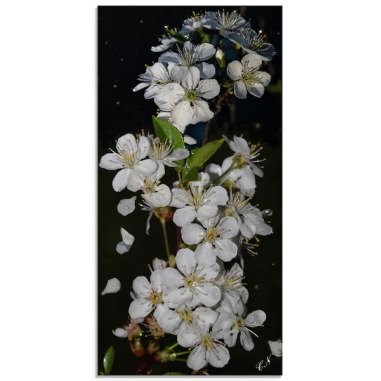 Artland Glasbild »Baumblüte«, Blumen, (1