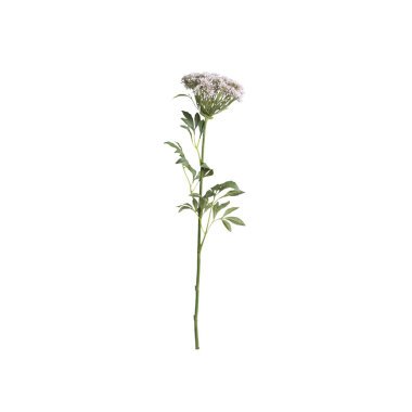 Chic Antique Fleur Wilde Möhre, H68,5 cm, rosa
