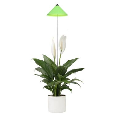 PARUS Pflanzenlampe Indoor plants, Leuchtmittel
