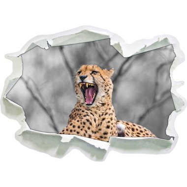Wandaufkleber Gähnender Leopard