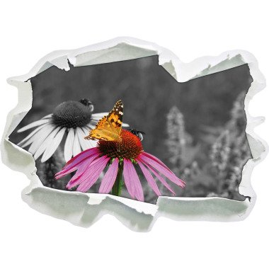Wandtattoo Wunderschöner Schmetterling auf Kornblume