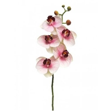 Künstliche Phalaenopsis Orchidee Bora 58