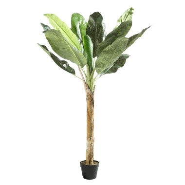 casaNOVA Kunstblume Bananenbaum 150 cm Im