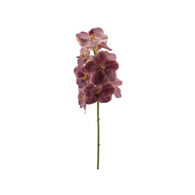Orchidee Vanda Burgund H: 93 cm