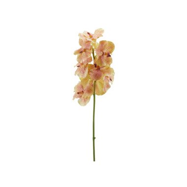Orchidee Vanda Grün-Pink H: 93 cm