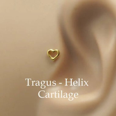 Tragus Earring-Heart Earring-Knorpel Ohrring-Nasenring Gestüt-14K Gelb-Gold