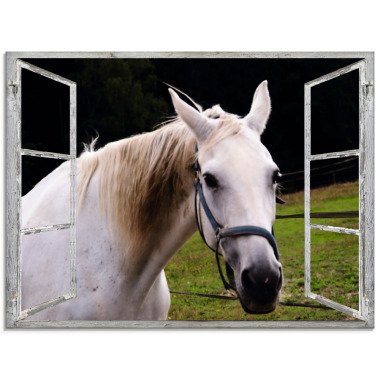 Artland Glasbild Fensterblick weisses Pferd
