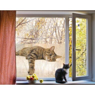 Fensterfolie Cat Chill Out