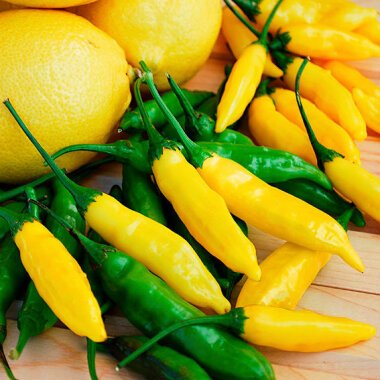 Blumen und Gemüsesamen & Chili-Paprikasamen Lemon Drop