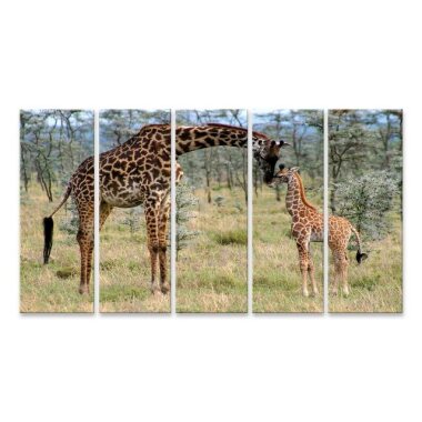 islandburner Leinwandbild Bild auf Leinwand Mutter Baby Giraffe Wandbild Poster 